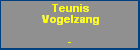 Teunis Vogelzang