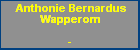 Anthonie Bernardus Wapperom