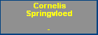 Cornelis Springvloed