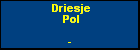 Driesje Pol