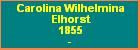 Carolina Wilhelmina Elhorst