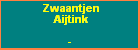 Zwaantjen Aijtink