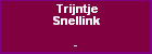 Trijntje Snellink