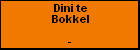 Dini te Bokkel
