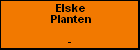 Elske Planten