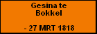 Gesina te Bokkel