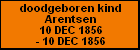 doodgeboren kind Arentsen