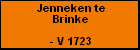 Jenneken te Brinke