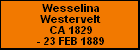 Wesselina Westervelt
